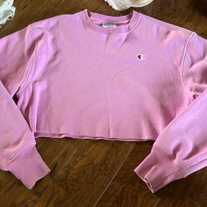 Cropped champion sweater